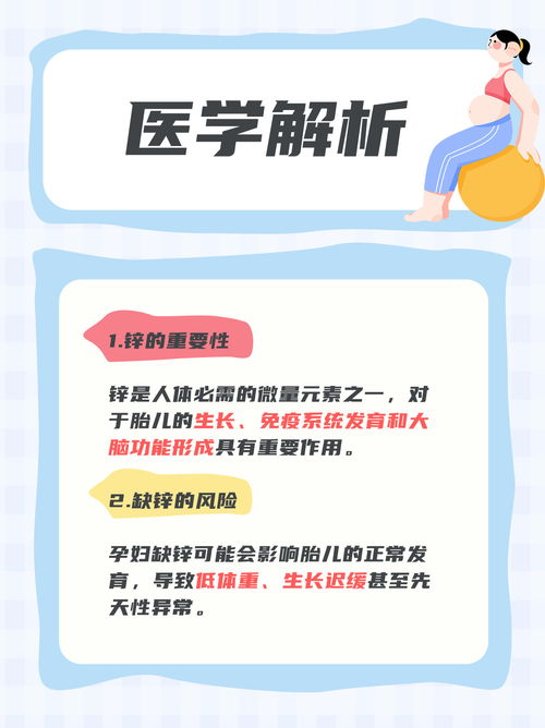 孕妇锌摄入 胎儿健康的守护者